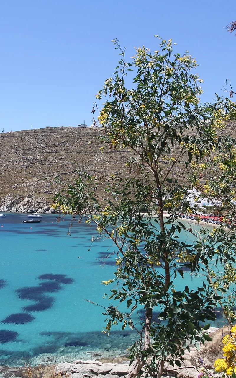 Psarou Beach
